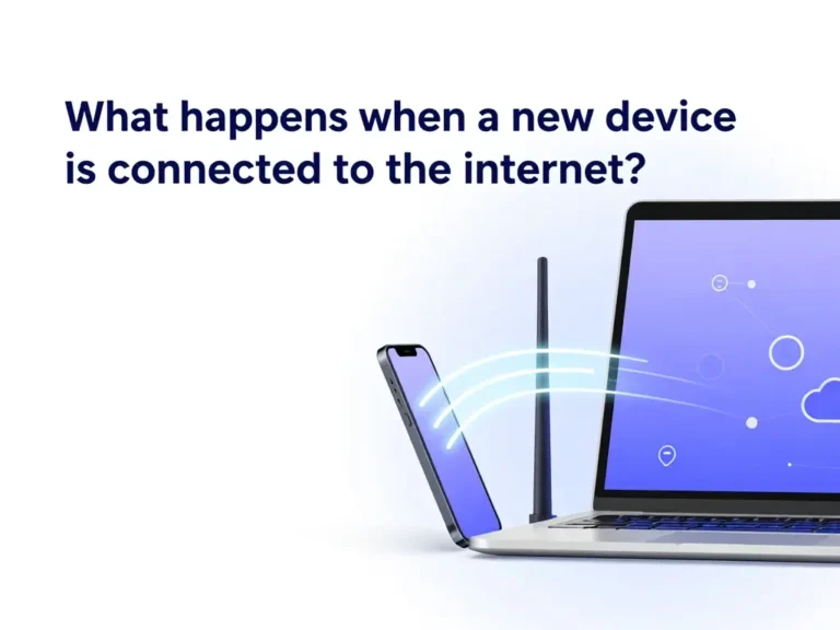 which of the following best explains what happens when a new device is connected to the internet?